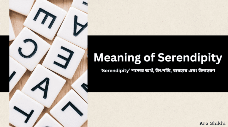 Serendipity এর অর্থ, উৎপত্তি, ব্যবহার এবং উদাহরণ | Meaning of Serendipity
