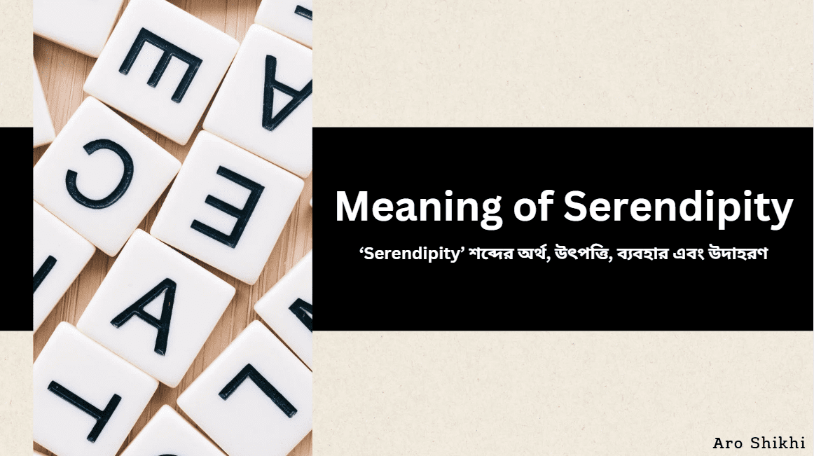 Serendipity এর অর্থ, উৎপত্তি, ব্যবহার এবং উদাহরণ | Meaning of Serendipity
